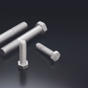 Hex Bolts